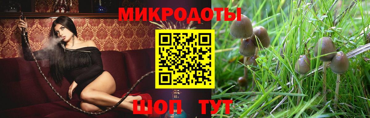 Галлюциногенные грибы Cubensis Знаменск