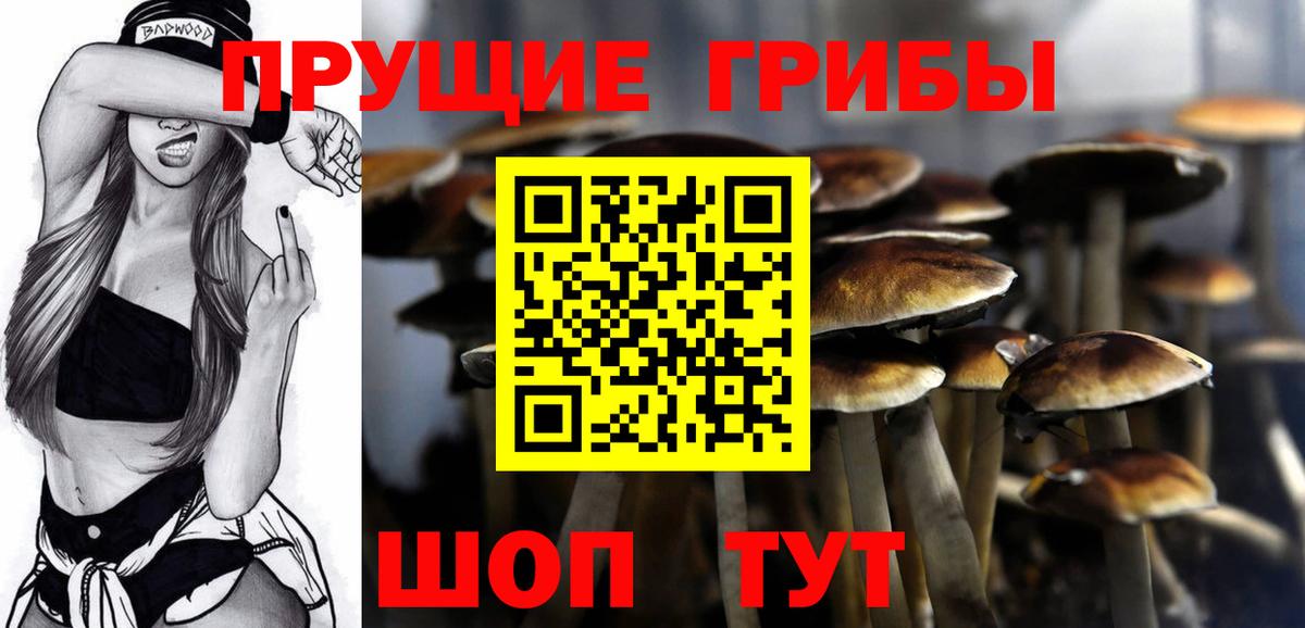 Псилоцибиновые грибы Psilocybe  Галлюциногенные грибы Psilocybe  Вход с VPN  Знаменск 